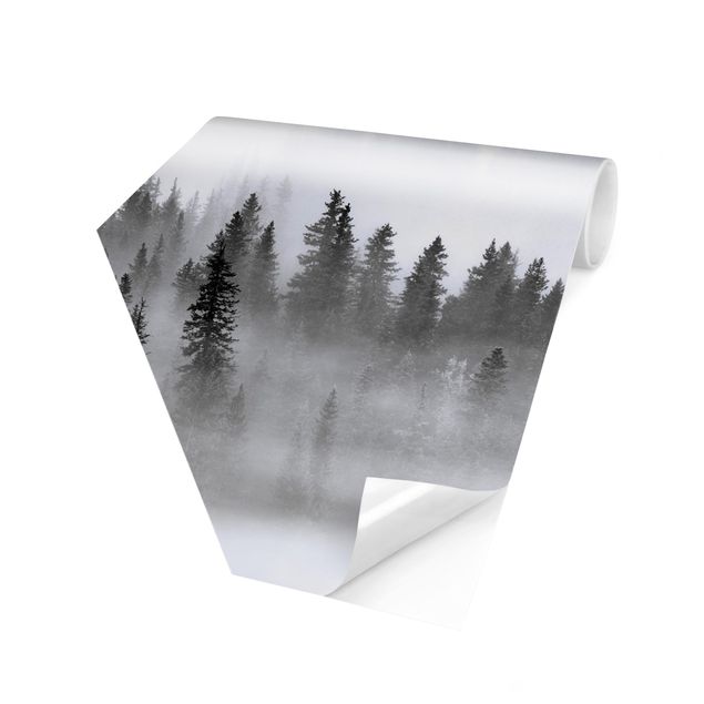 Foto Tapete Nebel im Tannenwald Schwarz-Weiß