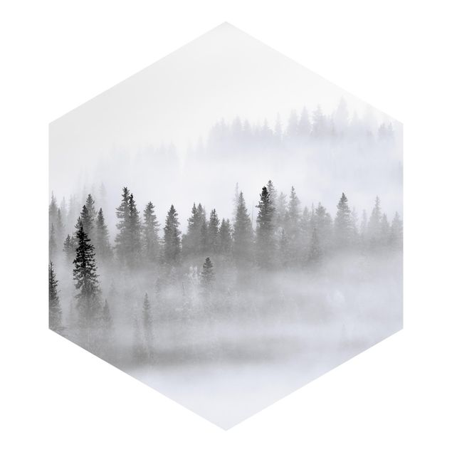Hexagon Mustertapete selbstklebend - Nebel im Tannenwald Schwarz-Weiß