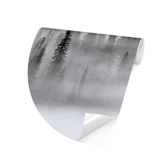 moderne Fototapete Nebel im Tannenwald Schwarz-Weiß