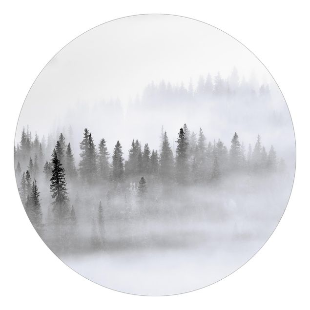 Fototapete Schwarz-Weiß Nebel im Tannenwald Schwarz-Weiß