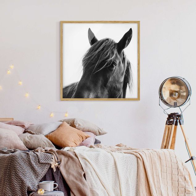 schwarz-weiß Bilder gerahmt Neugieriges Pferd