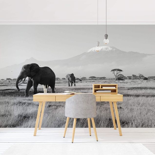 Wanddeko Küche No.287 Elefanten vor dem Kilimanjaro in Kenya II