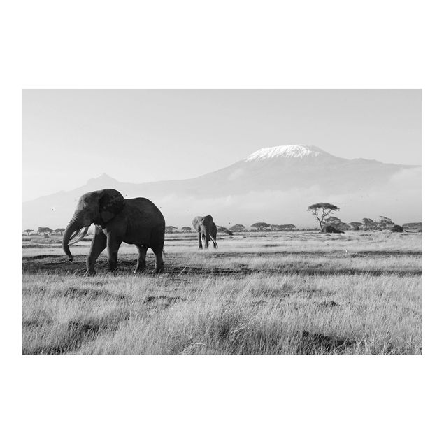 Fototapete Stadt No.287 Elefanten vor dem Kilimanjaro in Kenya II