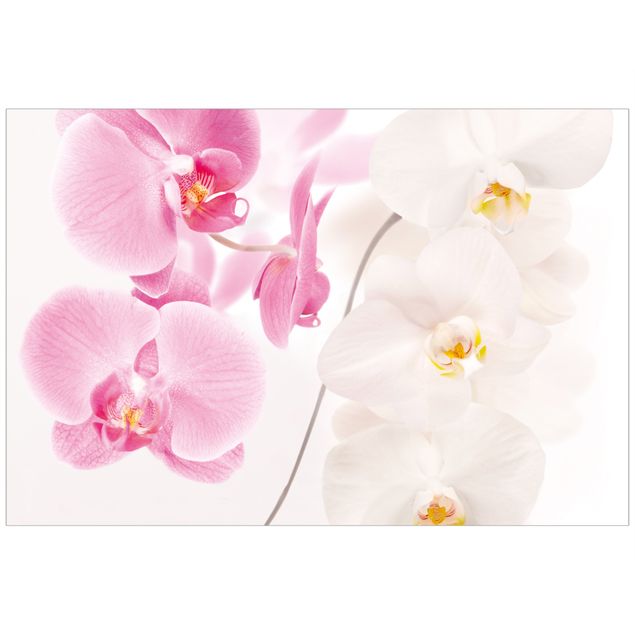 Klebefolien selbstklebend Delicate Orchids