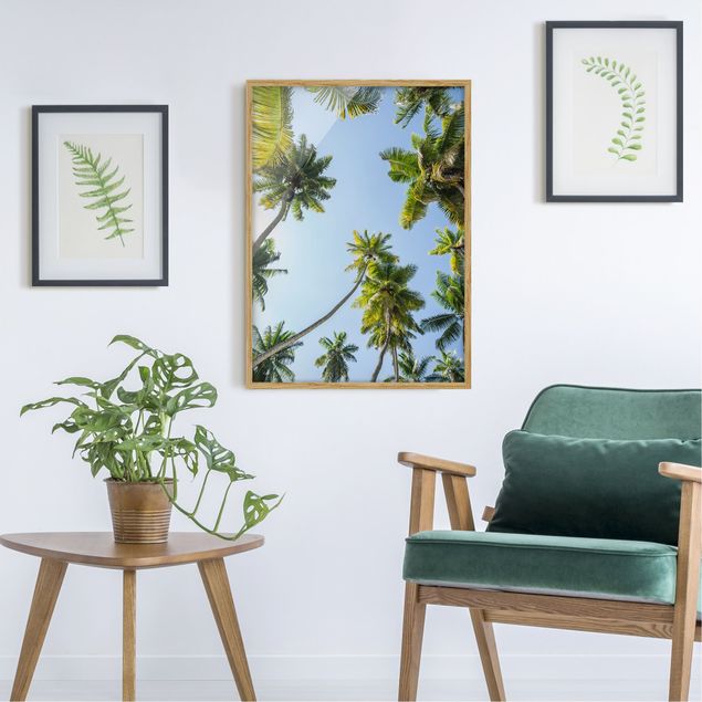 Landschaftsbilder mit Rahmen Palmen Himmel