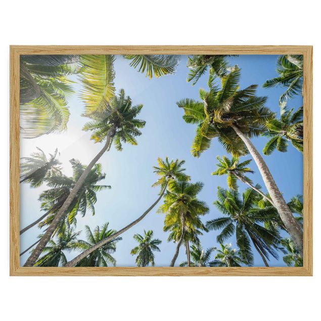 Wandbilder Natur Palmen Himmel
