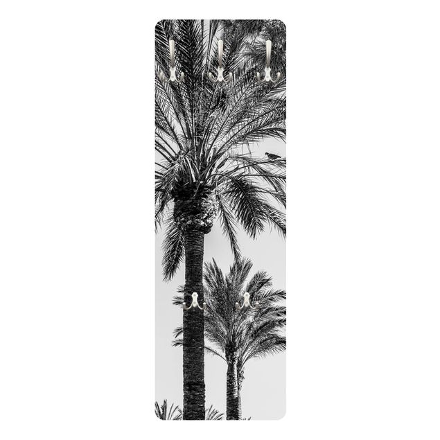 Uta Naumann Bilder Palmen im Sonnenuntergang Schwarz-Weiß