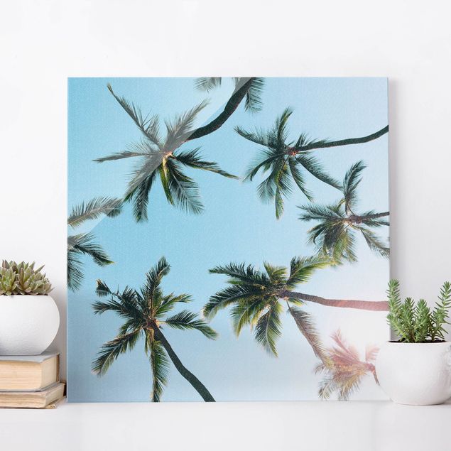 Wandbilder Landschaften Palmengiganten im Himmel