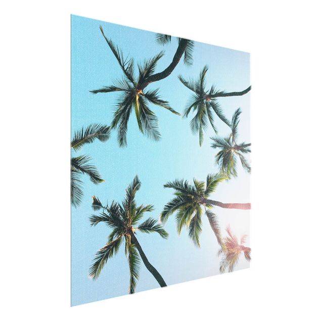 Glasbilder Strand Palmengiganten im Himmel
