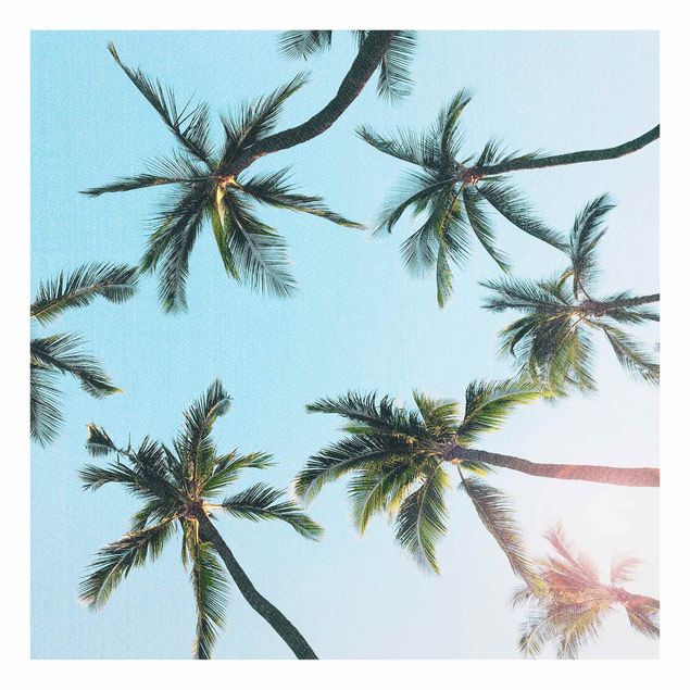 Glasbilder Natur Palmengiganten im Himmel