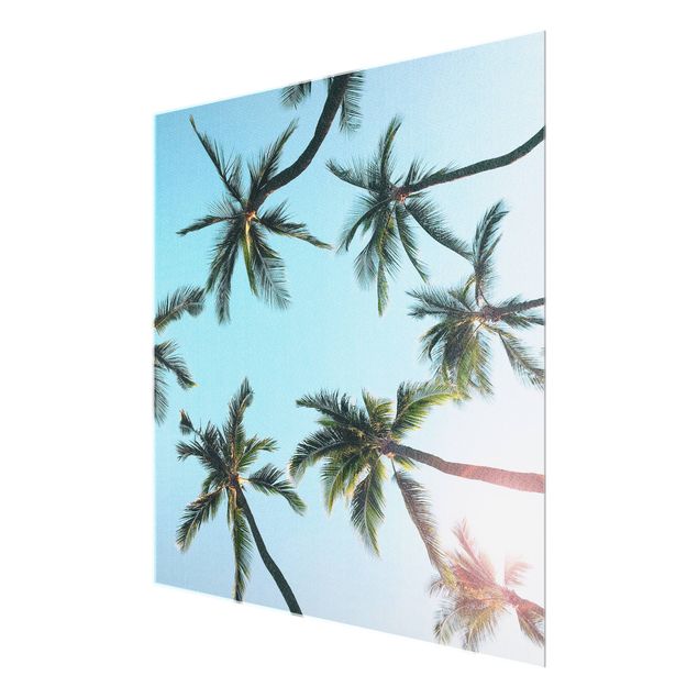 Wandbilder Natur Palmengiganten im Himmel