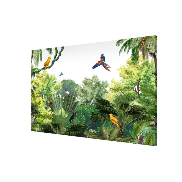 Wandbilder Landschaften Papageienparade im Dschungel