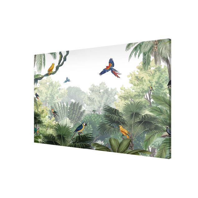 Wandbilder Dschungel Papageienparade im sanften Dschungel
