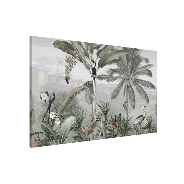 Wanddeko Küche Paradiesvögel im Dschungelpanorama