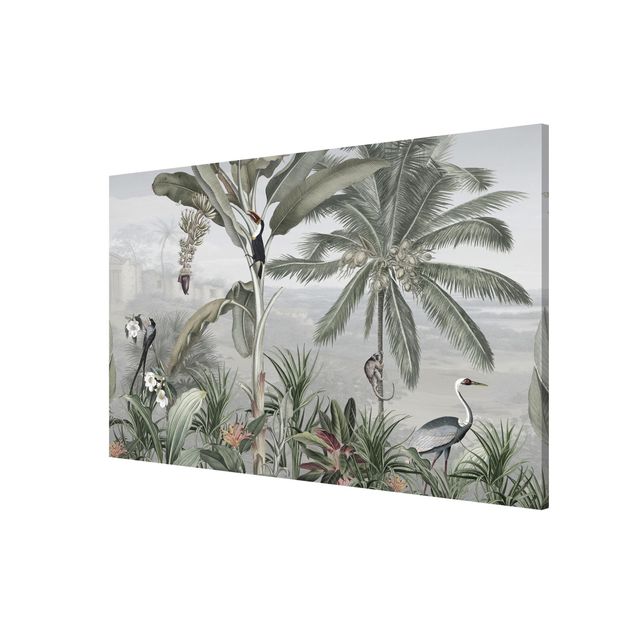 Wandbilder Landschaften Paradiesvögel im Dschungelpanorama