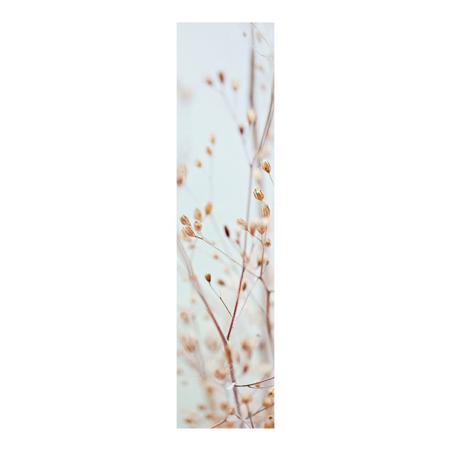 Schiebevorhang Blumen Pastellknospen am Wildblumenzweig