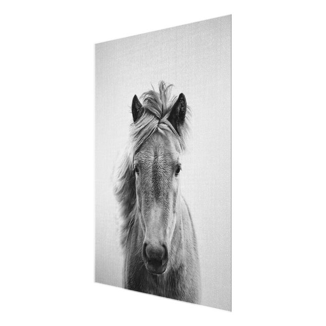 Wandbilder Schwarz-Weiß Pferd Pauline Schwarz Weiß