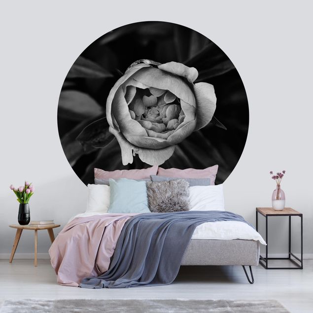 Tapete Rosen Pfingstrosenblüte vor Blättern Schwarz-Weiß