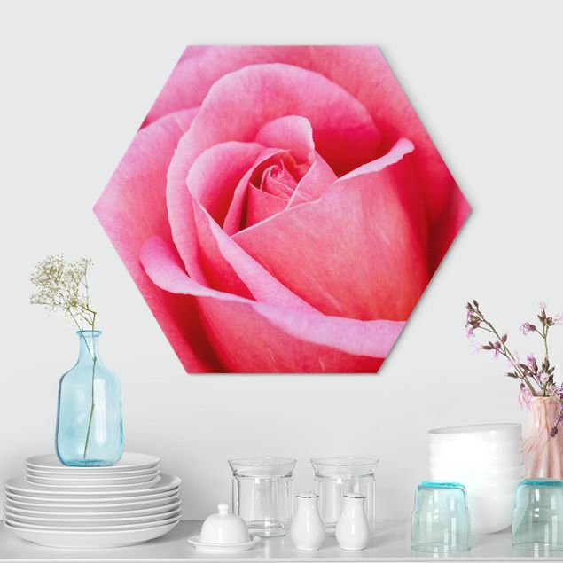 Wandbilder Floral Pinke Rosenblüte vor Grün