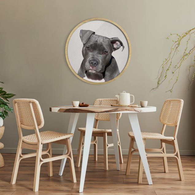 Wandbilder Hunde Pitbull Pelle