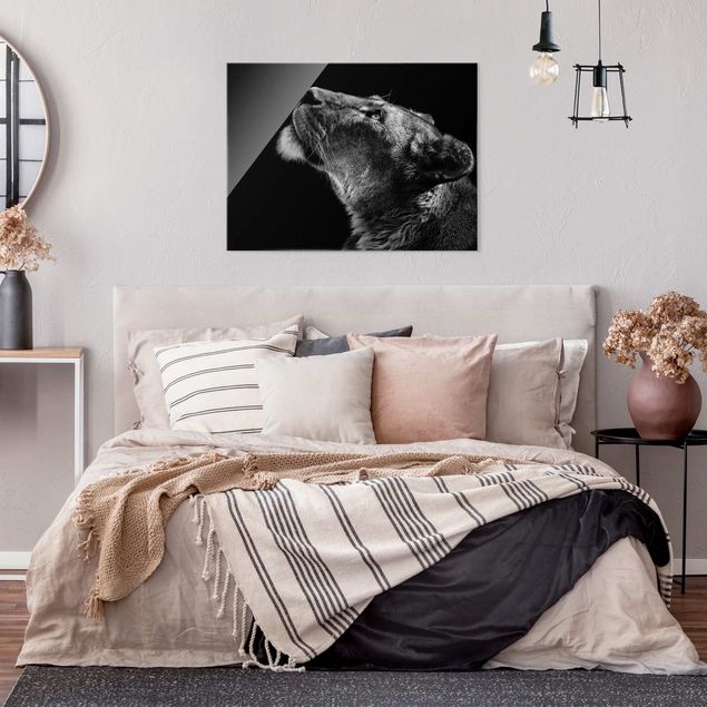 Glasbilder Schwarz-Weiß Portrait einer Löwin