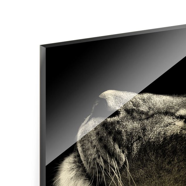 Wandbilder Schwarz-Weiß Portrait einer Löwin