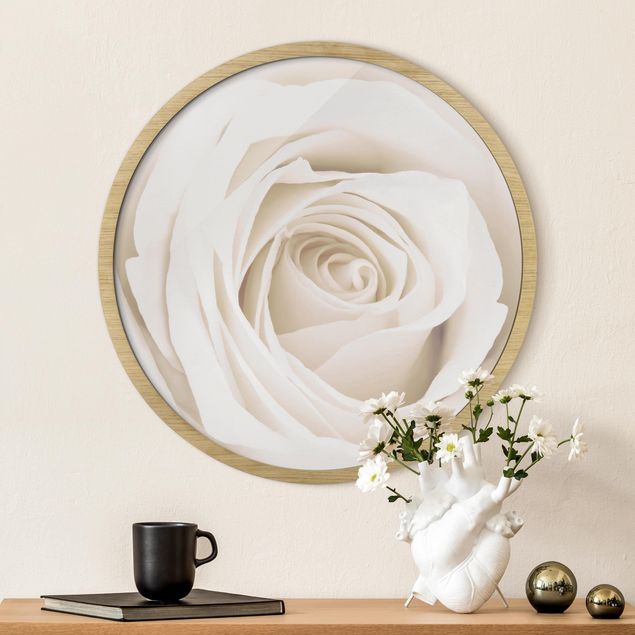 gerahmte Blumenbilder Pretty White Rose