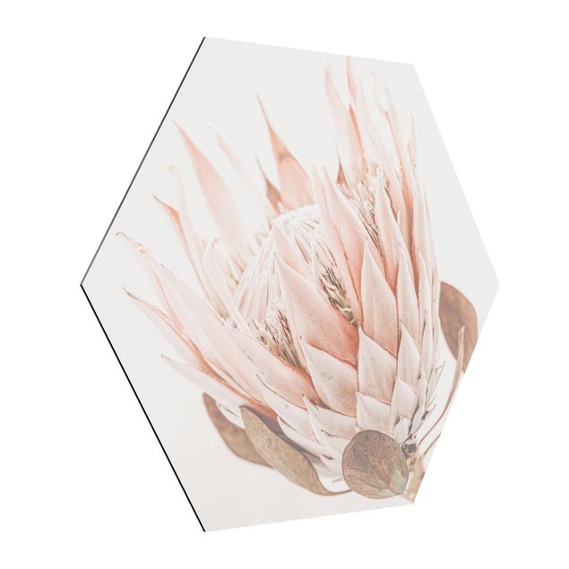 Wandbilder Modern Protea Königin der Blüten