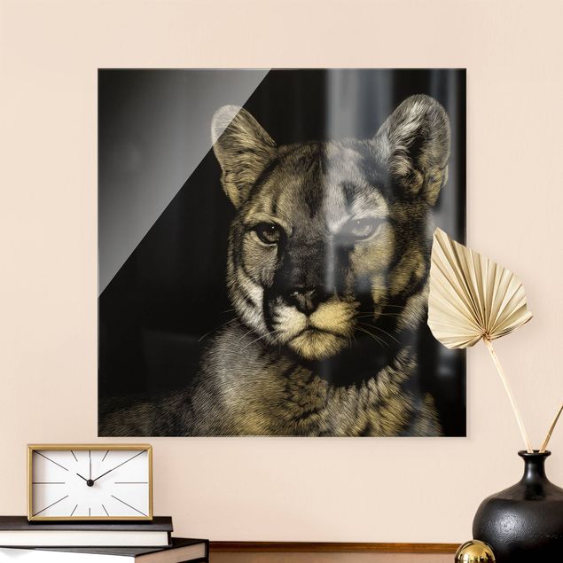 Glasbilder Tiere Puma vor Schwarz