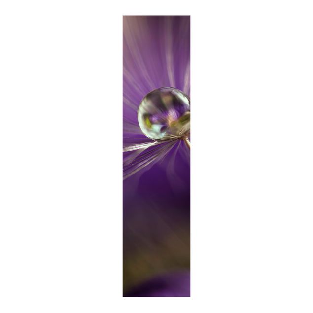 Schiebegardinen Blumen Pusteblume in Violett