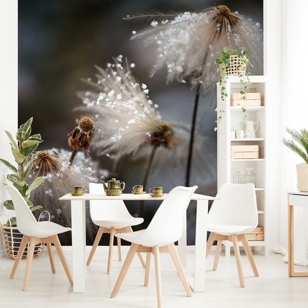moderne Fototapete Pusteblumen mit Schneeflocken