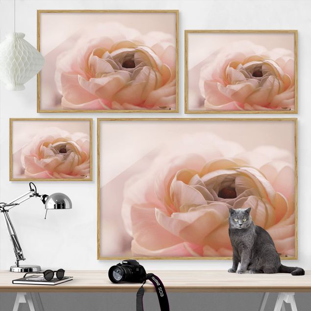 Wandbilder Rosa Rosa Blüte im Fokus