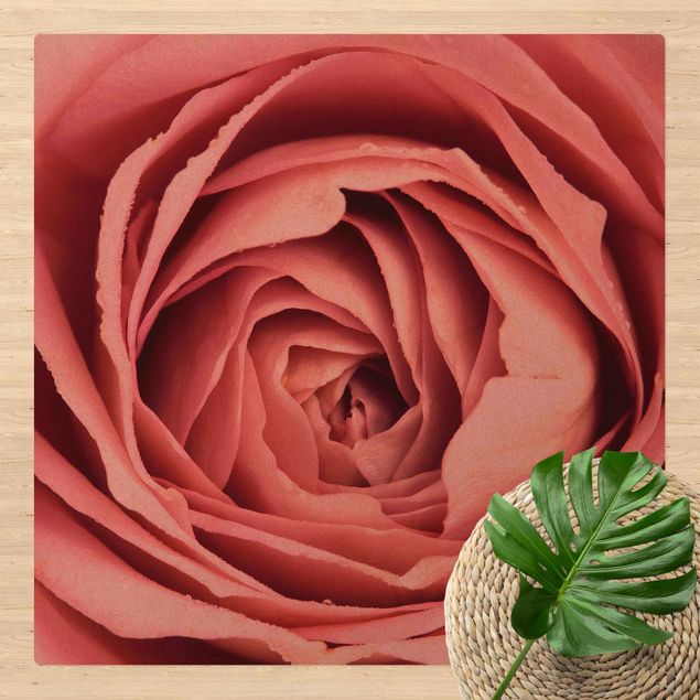 Moderner Teppich Rosa Rosenblüte