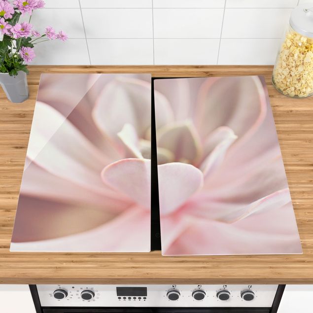 Wanddeko Küche Rosane Sukkulentenblüte