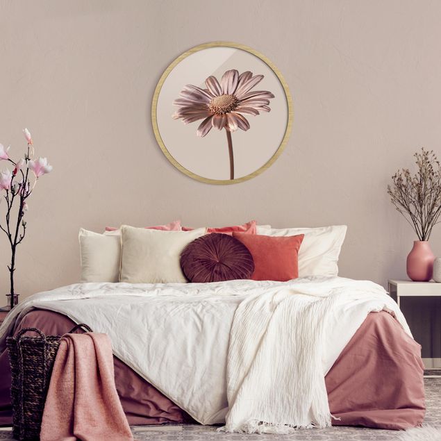 Wandbilder Floral Rosegoldene Margerite