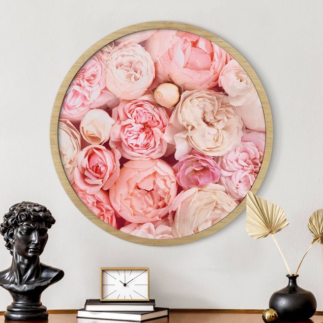 Bilder gerahmt Blumen Rosen Rosé Koralle Shabby