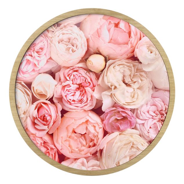 Wandbilder Rosa Rosen Rosé Koralle Shabby