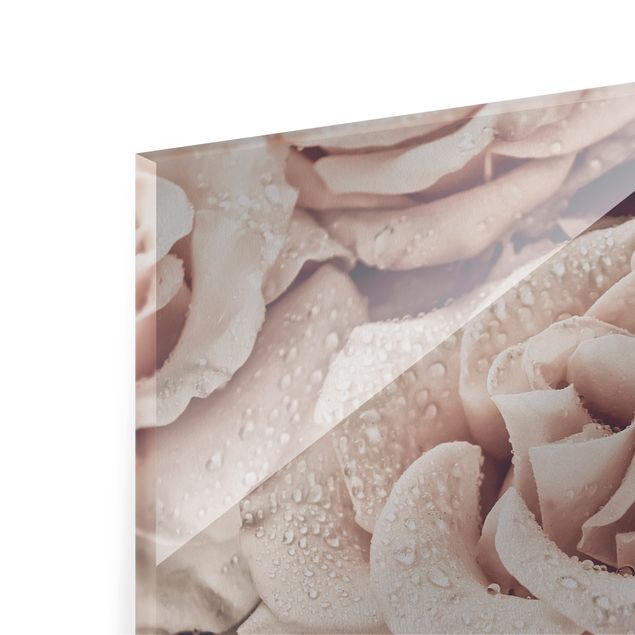 Wandbilder Rosen Sepia mit Wassertropfen