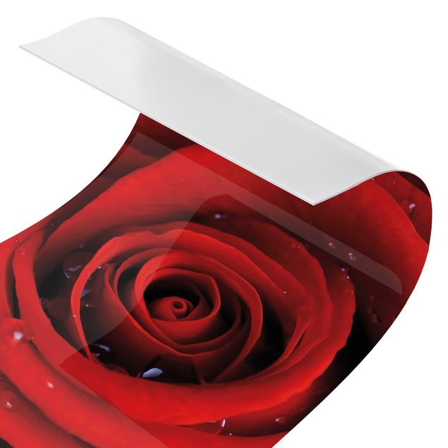 Duschrückwand - Rote Rose mit Wassertropfen