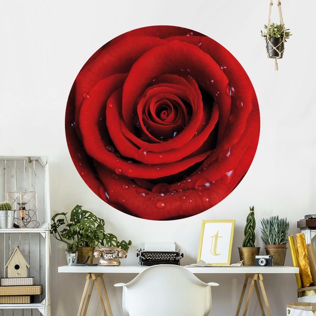 Fototapete Rosen Rote Rose mit Wassertropfen