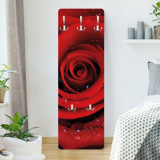 Blumen Garderobe Rote Rose mit Wassertropfen