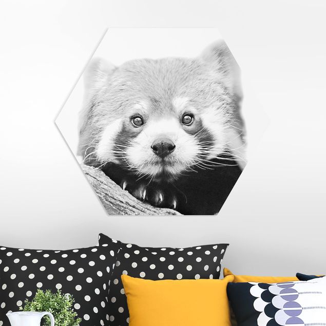 Babyzimmer Deko Roter Panda in Schwarz-weiß