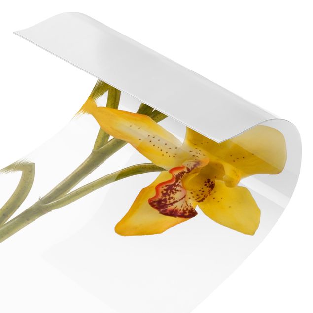 Küchenrückwand Folie selbstklebend Saffron Orchid Waters