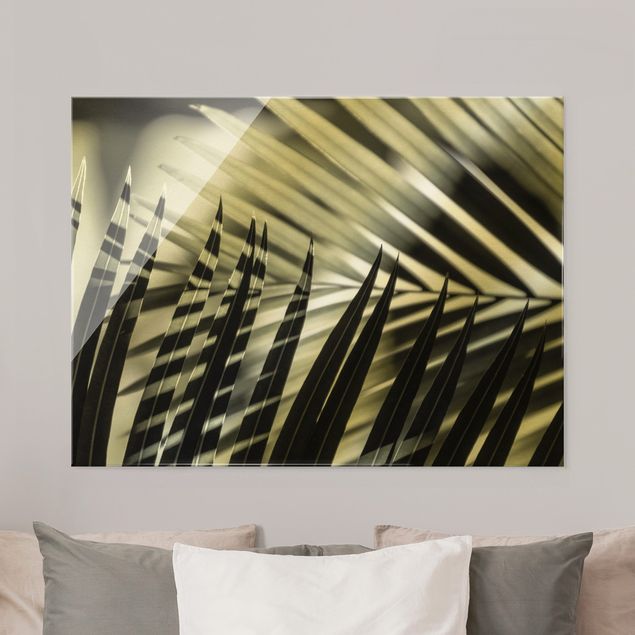Wandbilder Landschaften Schattenspiel auf Palmenwedel