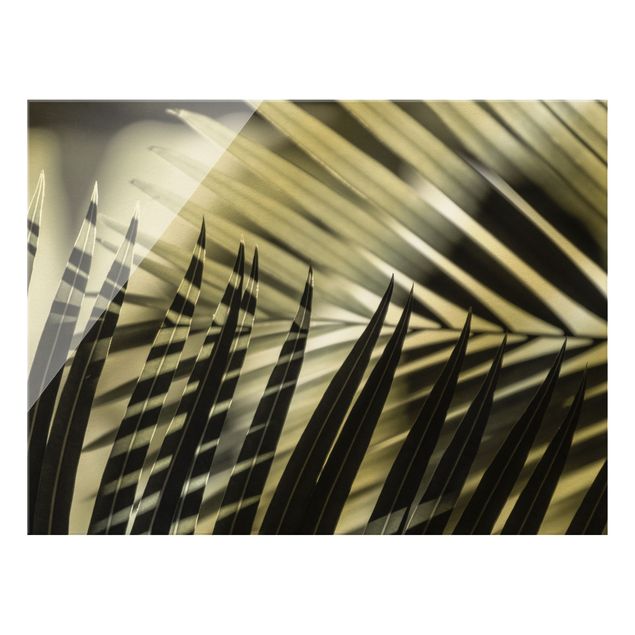 Wandbilder Blumen Schattenspiel auf Palmenwedel