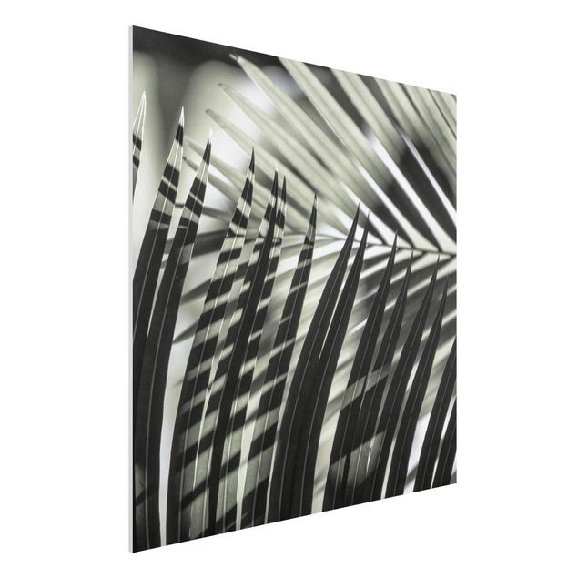 Wanddeko Küche Schattenspiel auf Palmenwedel