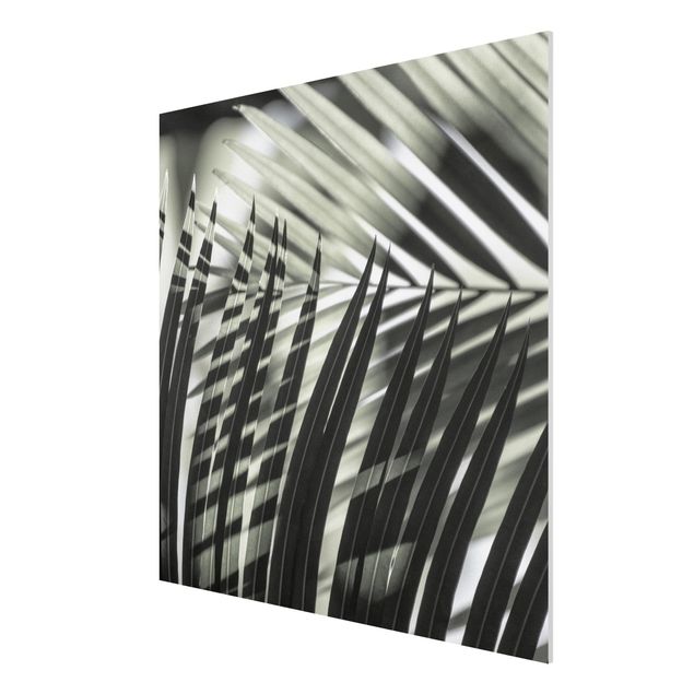 Wandbilder Floral Schattenspiel auf Palmenwedel