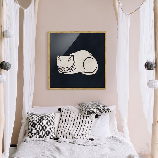 schwarz-weiß Bilder mit Rahmen Schlafende Katze Illustration