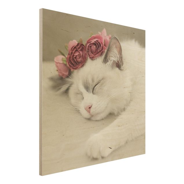 Schlafende Katze mit Quadrat Rosen -