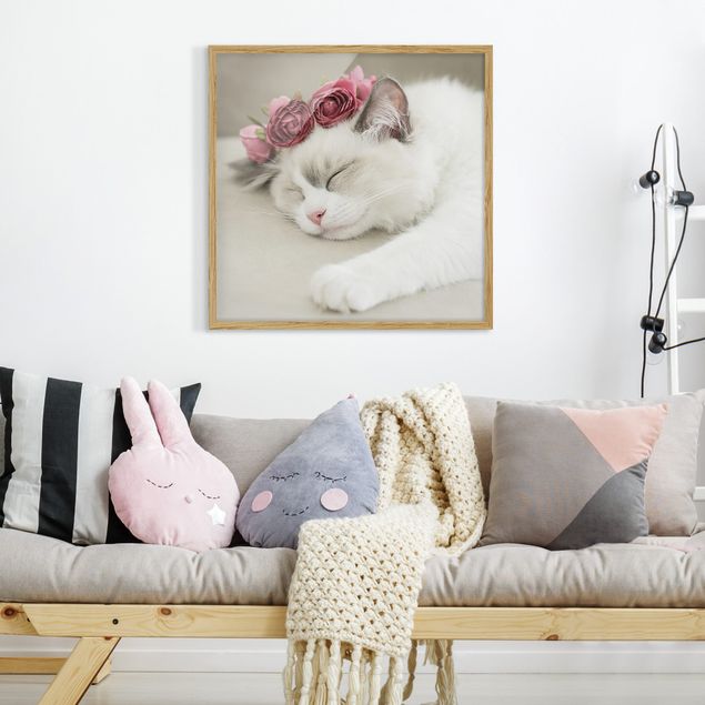 Bilder gerahmt Blumen Schlafende Katze mit Rosen